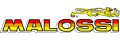 Logo Malossi