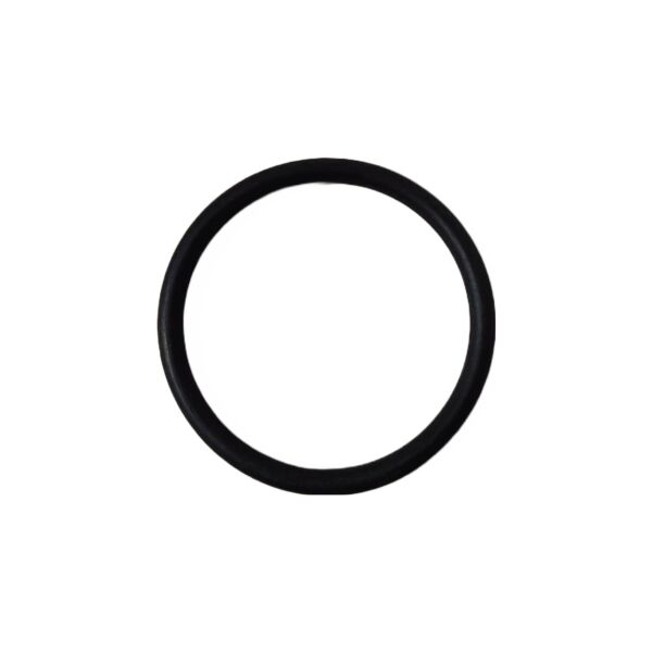 O-Ring für Auspuffflansch, Auspuff