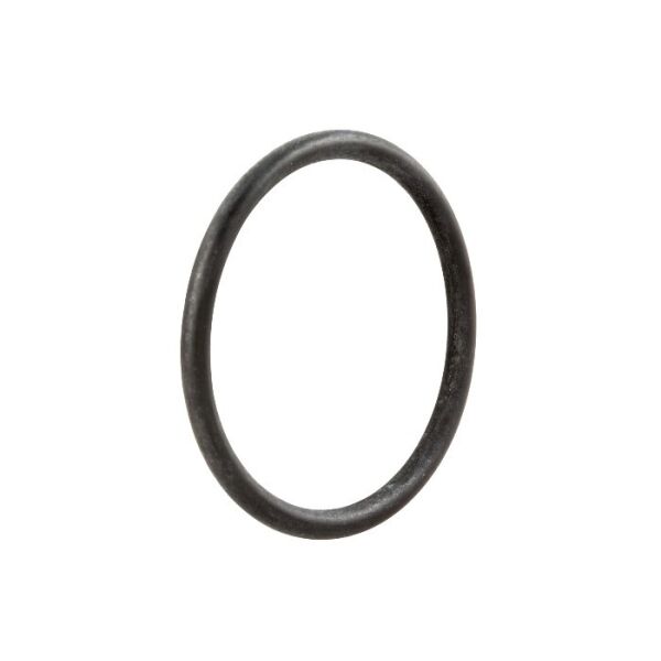 O-Ring für Auspuffflansch, Auspuff