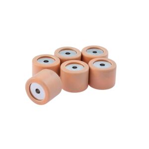 Variatorrollen PIAGGIO 19x15,5 mm 7,5g