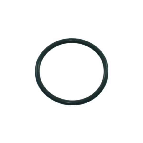 O-Ring für Auspuffflansch (M1X)