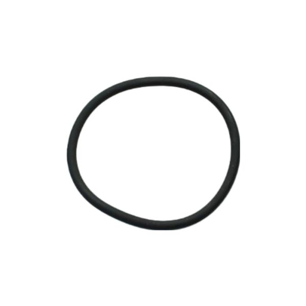 O-Ring Viton  Auspuffflansch (AR1266 u. AR1293)